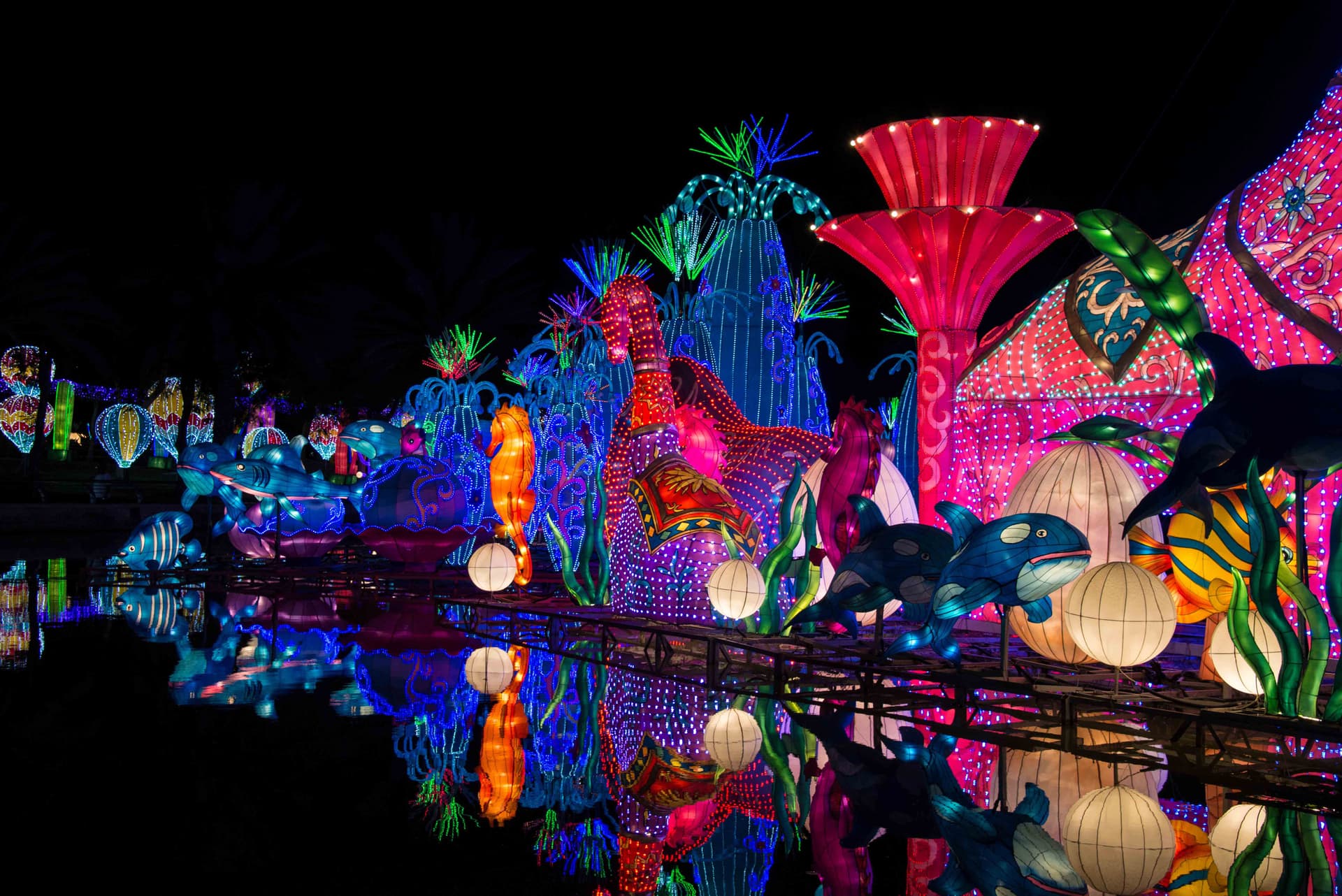 Fantastic glowing Garden in Dubai