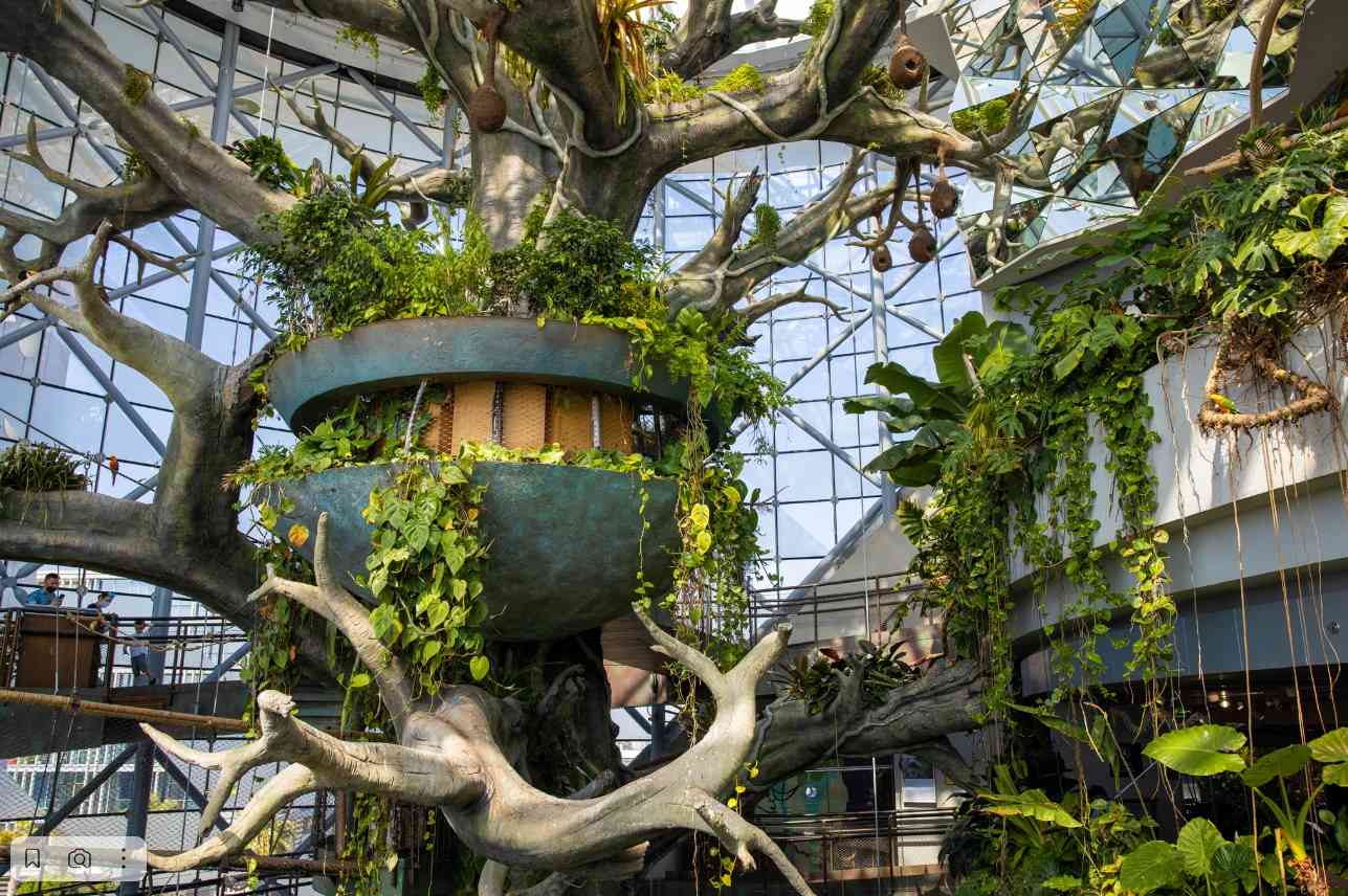 How to Get to Green Planet Dubai 