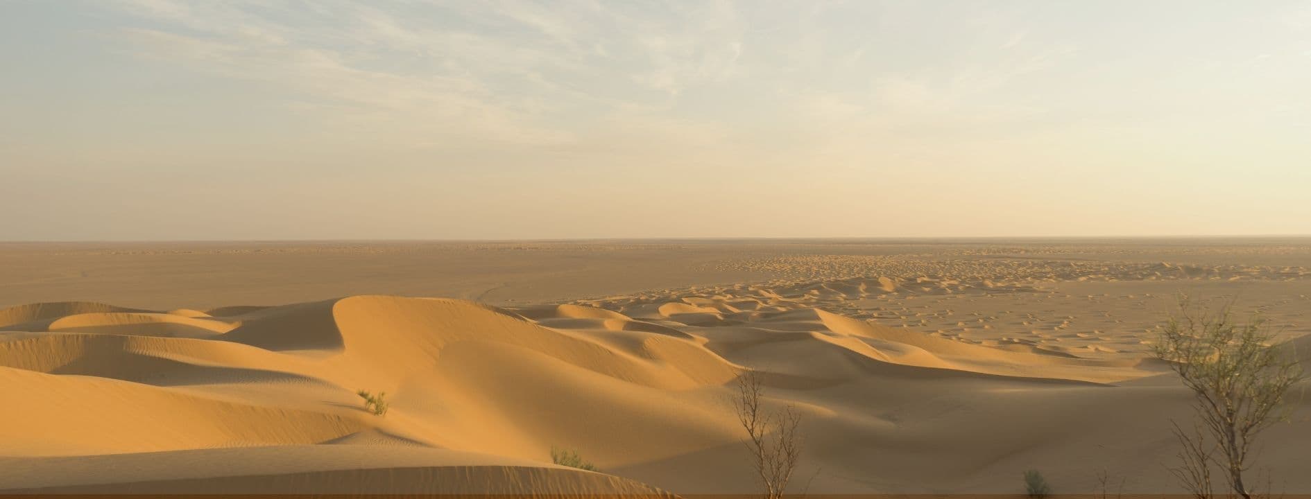Things to Do in Al Marmoom Desert