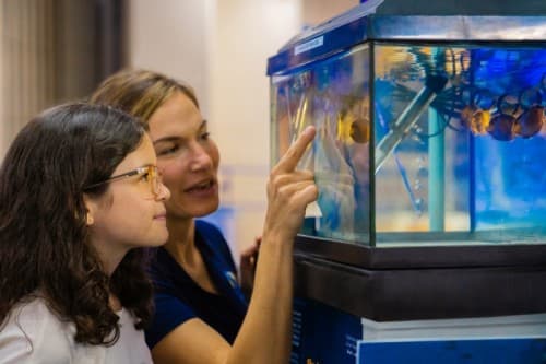 A woman and a child observing colorful fish in a large aquarium during the Fish Tales Tour.