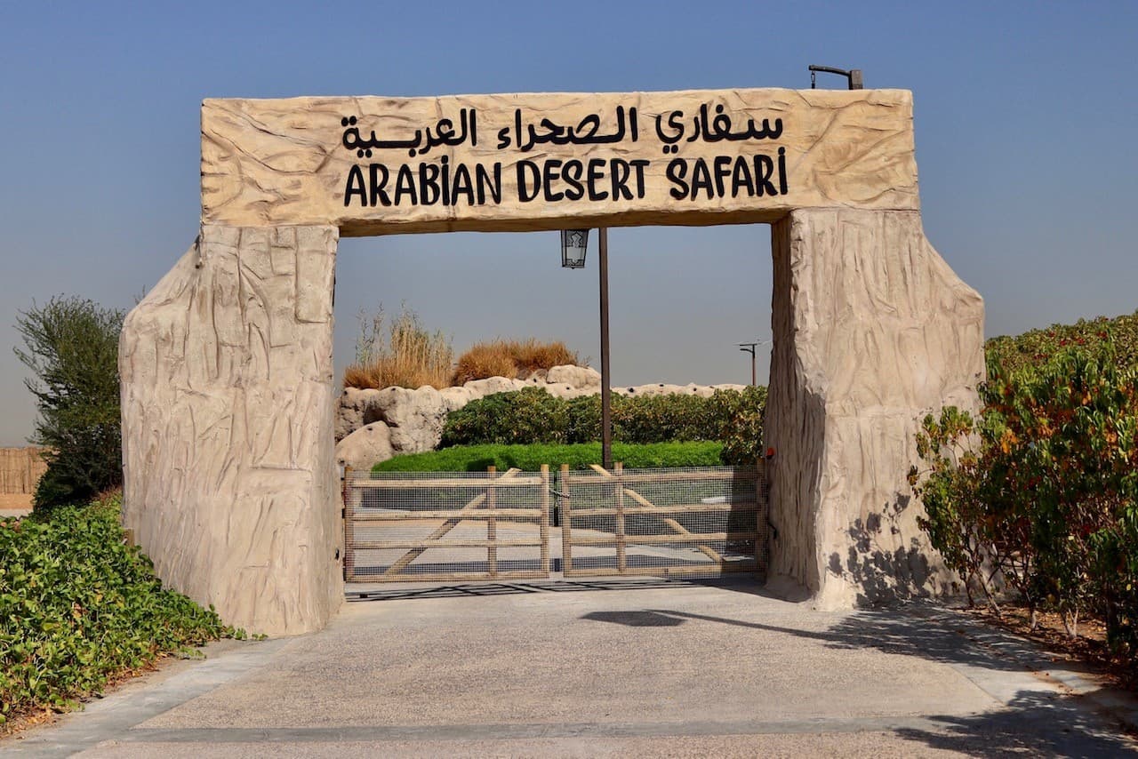 Visitors enjoying the Arabian Desert Safari experience at Dubai Safari Park with desert wildlife and sandy landscapes.