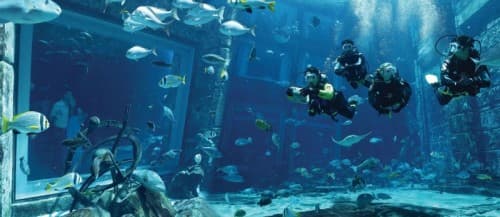 Underwater view of Dubai's Lost City, showcasing vibrant marine life and submerged architecture during the Dive Experience.