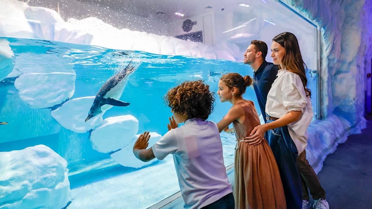 At The Top Burj Khalifa (124 Floor) Non-Prime Time + Desert Safari (Standard) + Dubai Aquarium and Underwater Zoo - clicktoguide