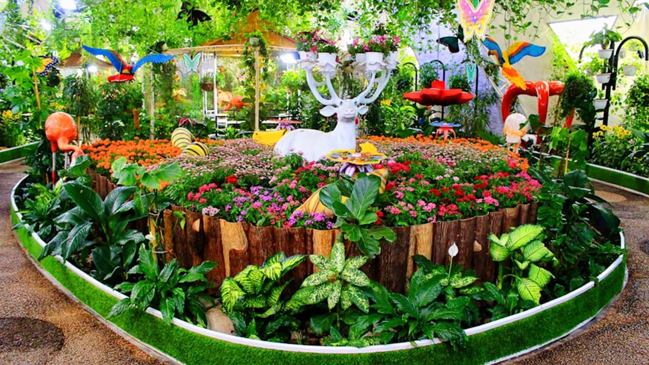 Miracle Garden + Dubai Butterfly Garden - clicktoguide