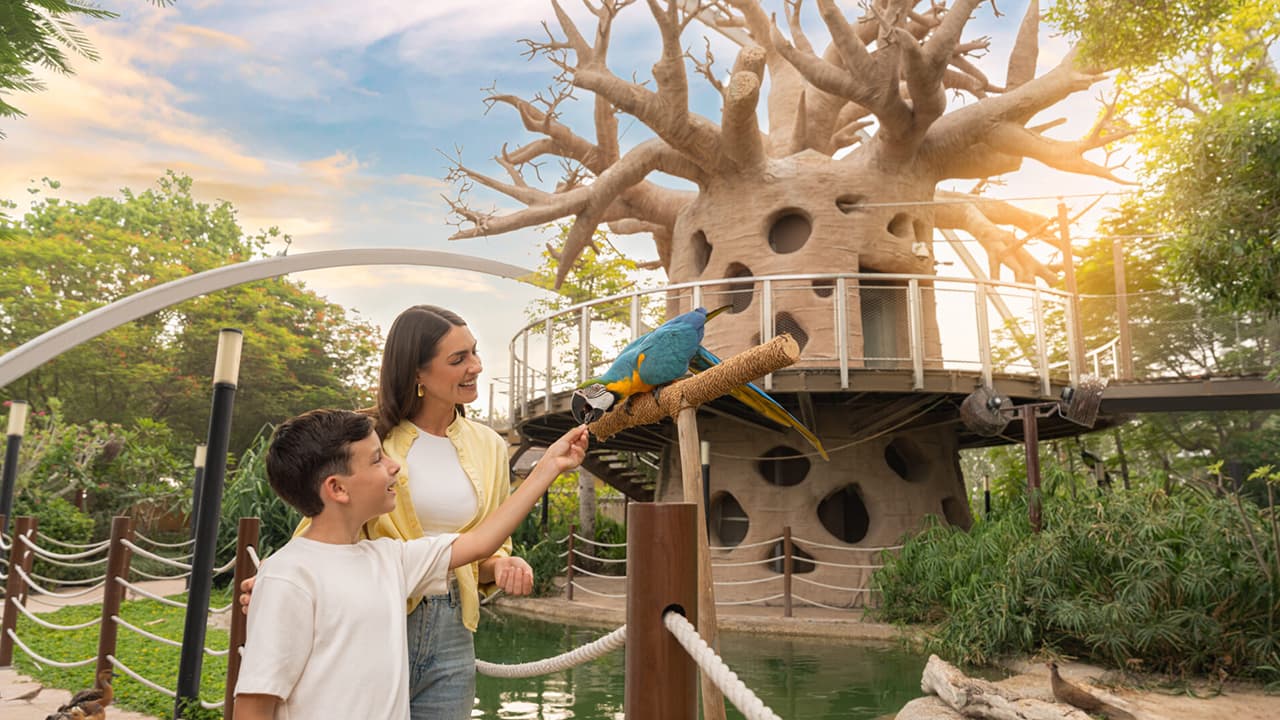 Any 1 Park At Dubai Parks & Resorts With Free Shuttle + Dubai Safari Bundle - clicktoguide