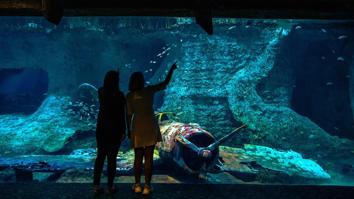 Two people observing colorful fish swimming in National Aquarium Abu Dhabi.