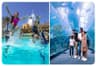 Wild Wadi Waterpark + Dubai Aquarium Underwater Zoo (Silver Pass)