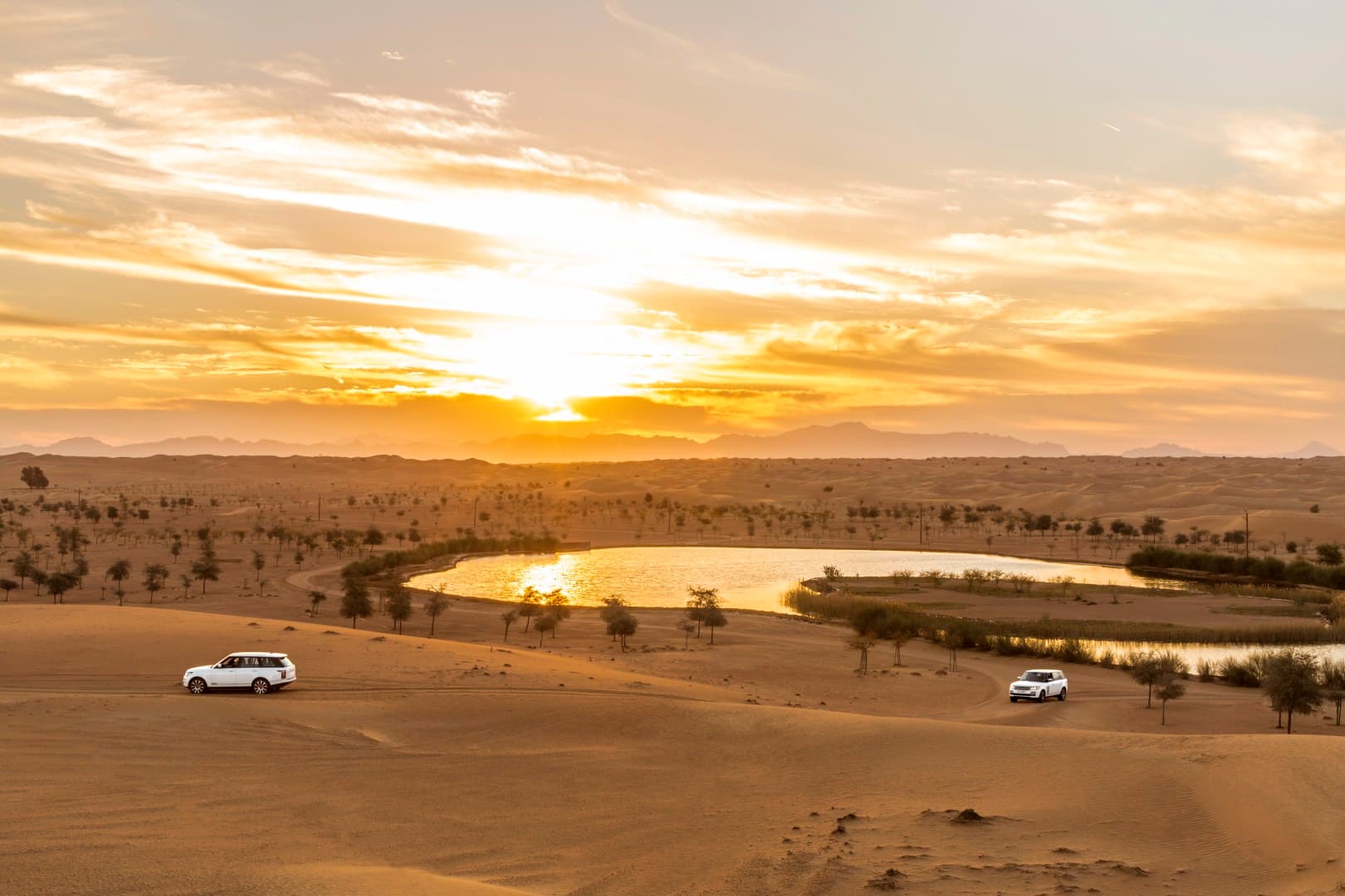 Nature drive through the Dubai Desert Conservation Reserve during the Platinum Desert Safari experience