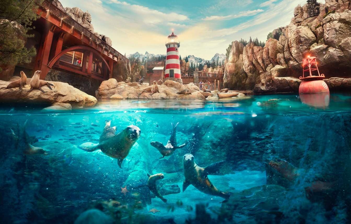 Sea lions swimming in the water at Rocky Point, SeaWorld Abu Dhabi.