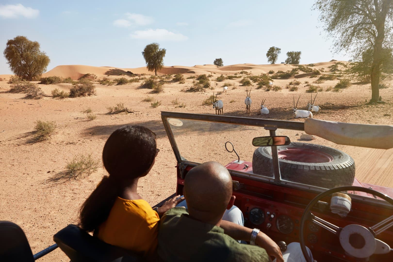 Scenic conservation drive through Dubai’s desert wildlife reserve during the Heritage Desert Safari experience