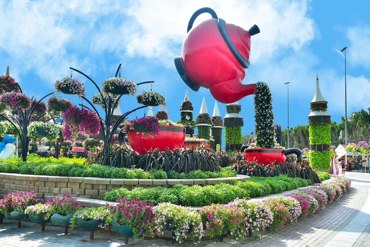 Miracle Garden - Flower Tea