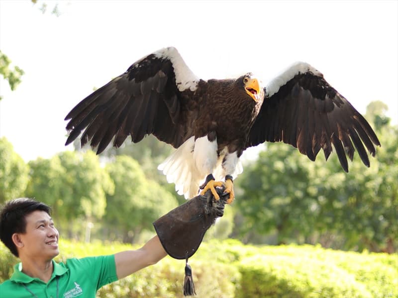 Exotic Bird Show - clicktoguide