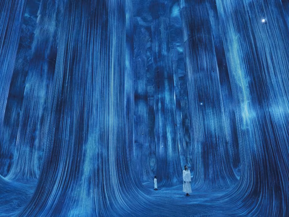 Team Lab Phenomena: Blue Trees