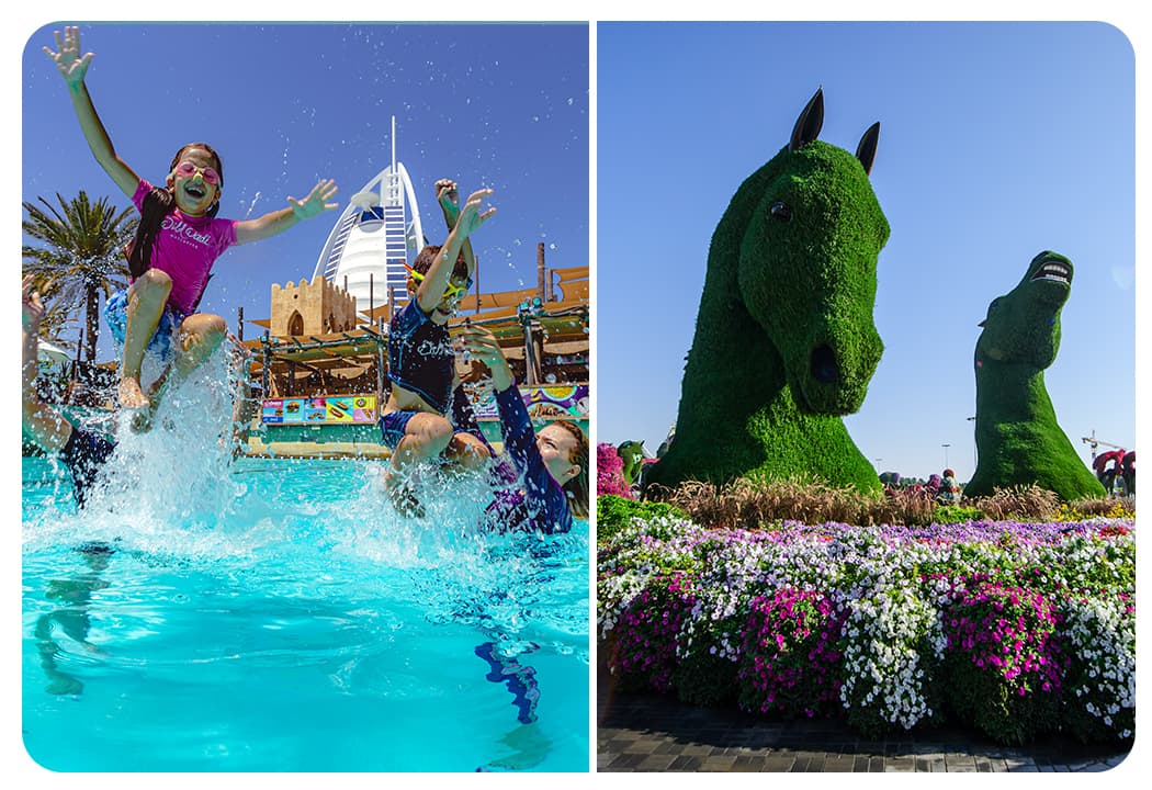 Wild Wadi Waterpark + Dubai Miracle Garden - clicktoguide