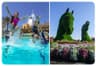Wild Wadi Waterpark (General Admission) + Dubai Miracle Garden