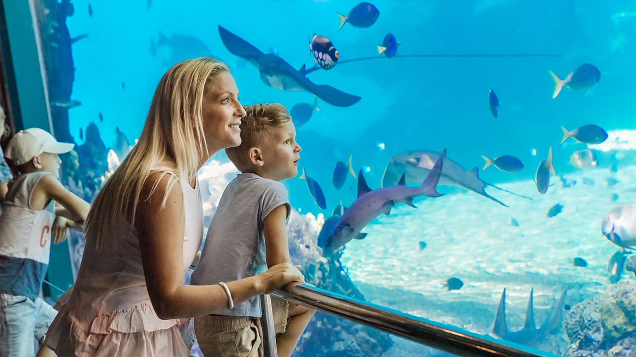 SeaWorld Abu Dhabi + Natural History Museum Abu Dhabi - clicktoguide