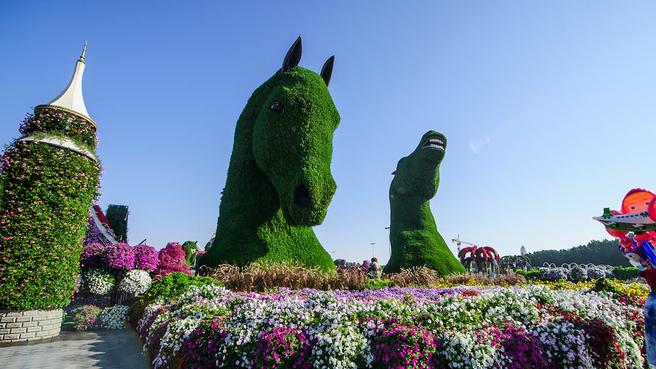 Atlantis Aquaventure Flexible Day Pass + Dubai Miracle Garden - clicktoguide