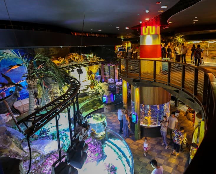 Aquarium view at the world's largest aquarium in Dubai, showcasing diverse marine life and underwater exhibits.
