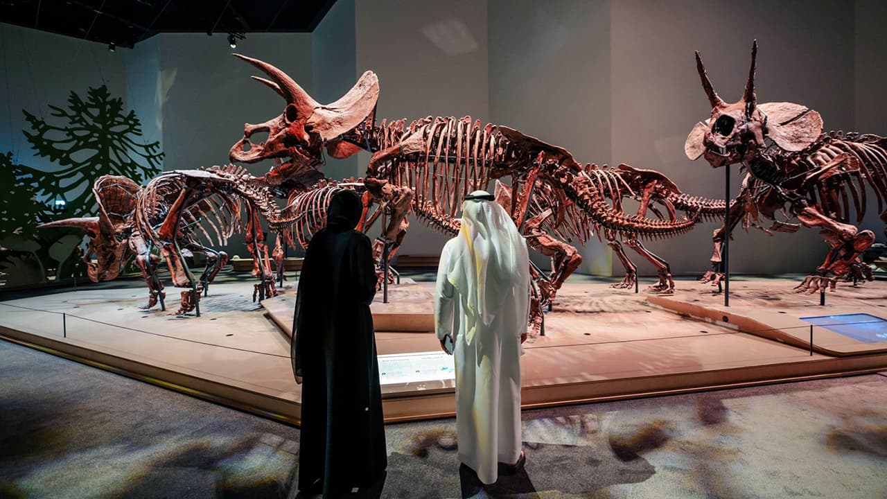SeaWorld Abu Dhabi + Natural History Museum Abu Dhabi - clicktoguide