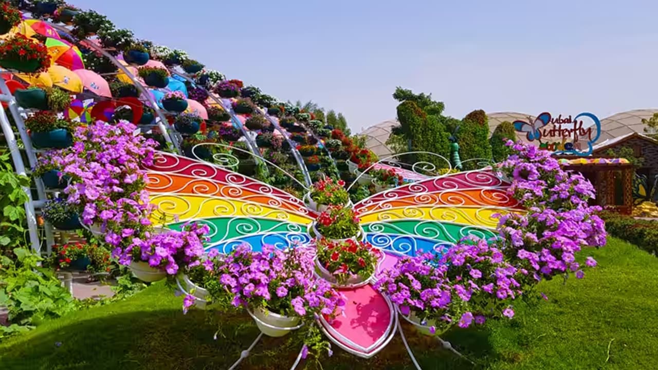 Miracle Garden + Dubai Butterfly Garden - clicktoguide