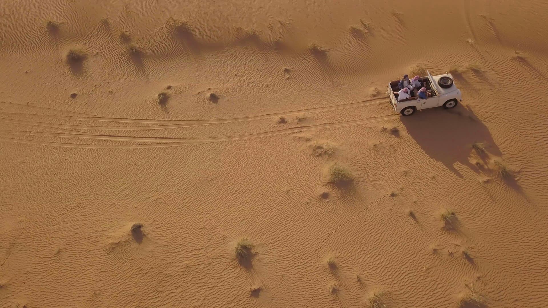 Guided conservation drive through the Dubai desert wildlife reserve during the Heritage Desert Safari.