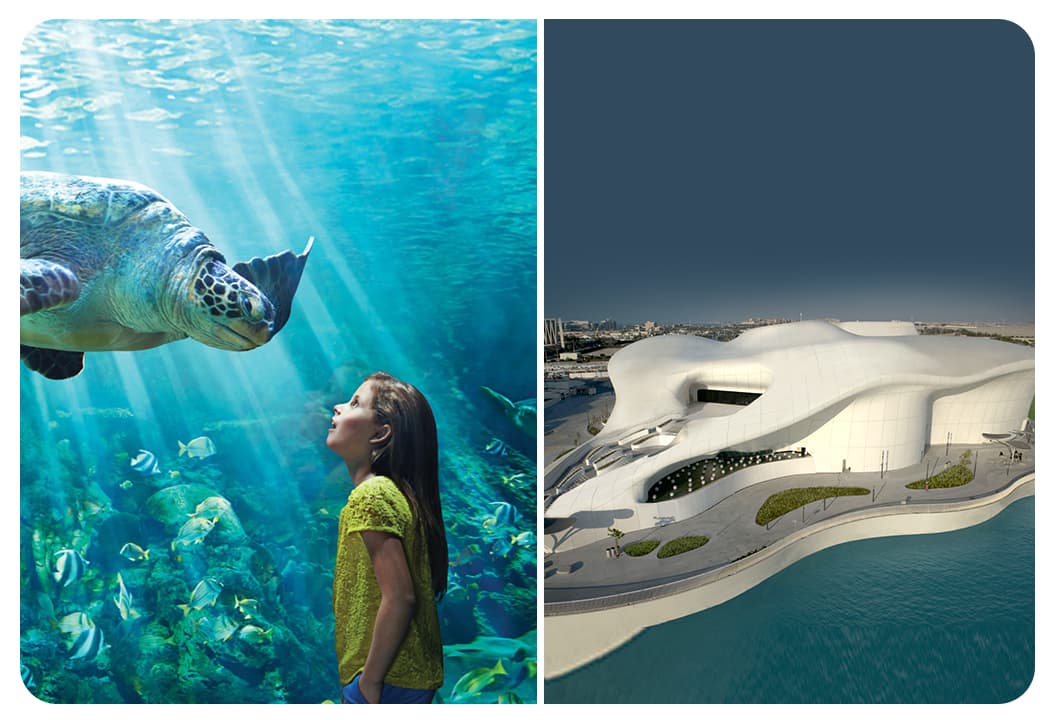 SeaWorld Abu Dhabi + TeamLab Phenomena (General Admission) - clicktoguide