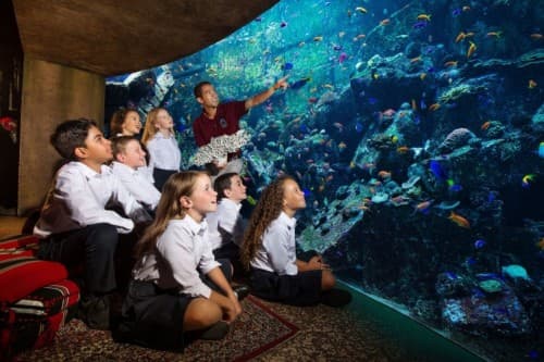 Children in school uniforms observe colorful fish in an aquarium during the "Fish Tales Tour" educational program.