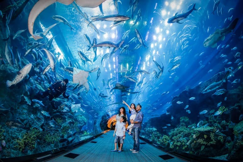 A family stands together in front of the Dubai Mall Aquarium, admiring the underwater tunnel and its marine life.