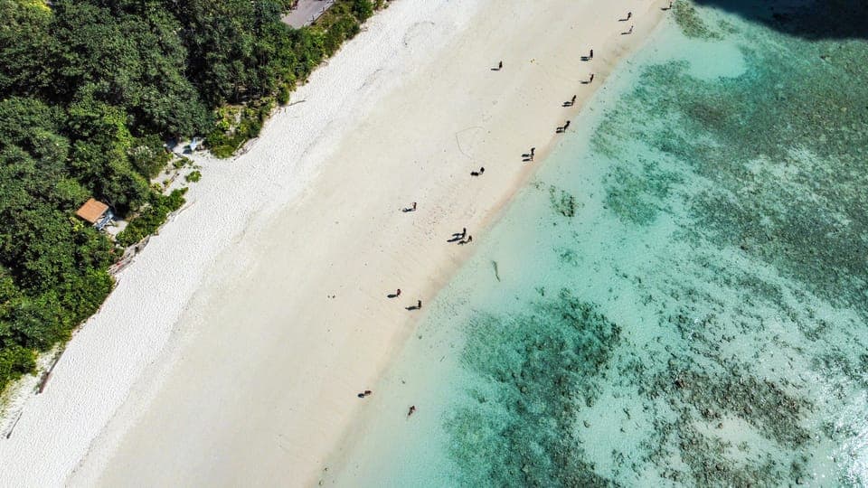 Maya, Phi Phi, and Bamboo Island Day Trip