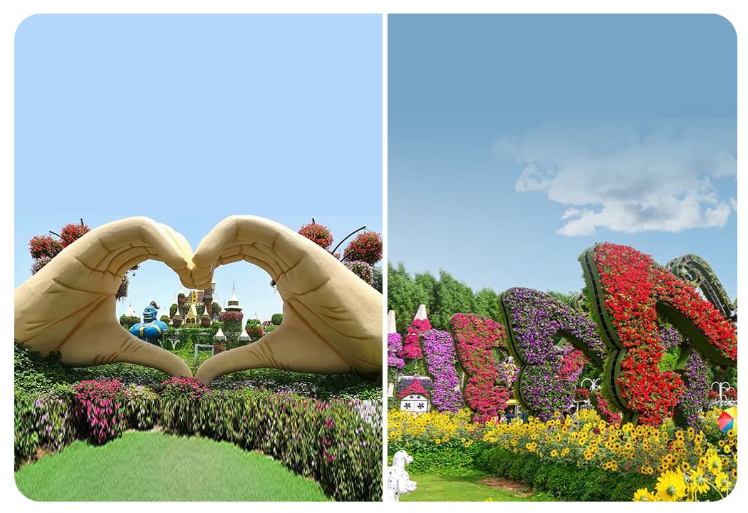 Miracle Garden + Dubai Butterfly Garden - clicktoguide