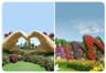 Miracle Garden + Dubai Butterfly Garden