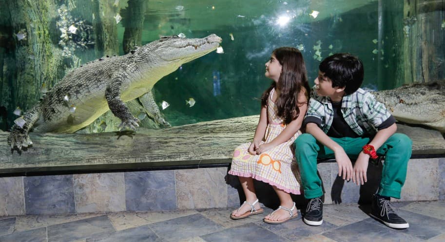 A boy and girl observe an alligator in the Dubai Mall Aquarium, surrounded by vibrant aquatic life.