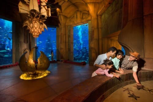 A family observes colorful fish in an aquarium during the Atlantis Aquaventure Family Activity.