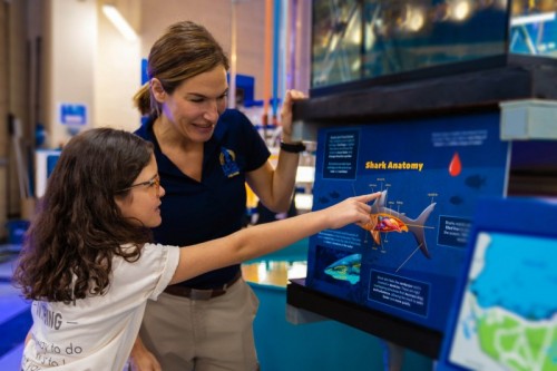 Fish Tales Tour: Shark Education