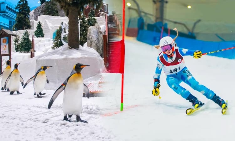 Ski Dubai - Penguin Ski