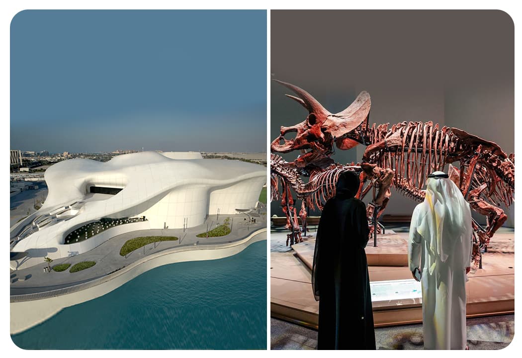 TeamLab Phenomena (General Admission) + Natural History Museum Abu Dhabi - clicktoguide