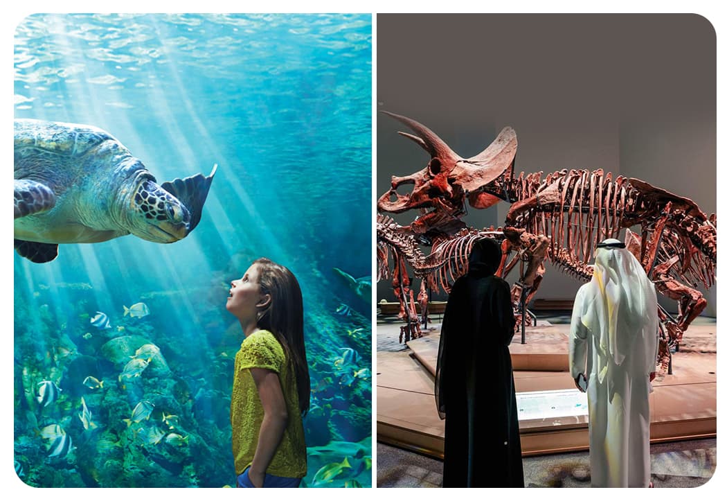 SeaWorld Abu Dhabi + Natural History Museum Abu Dhabi  - clicktoguide