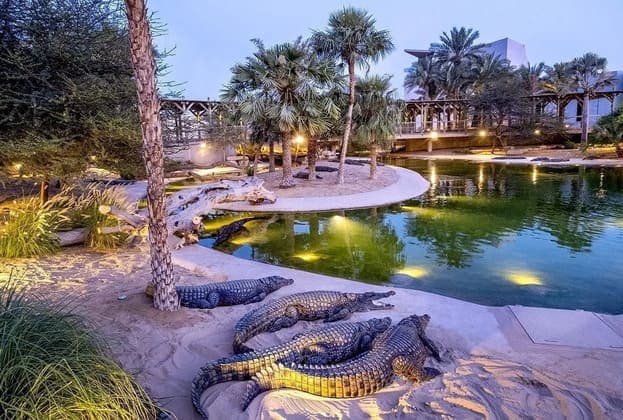 Dubai Crocodile Park: Natural Pools