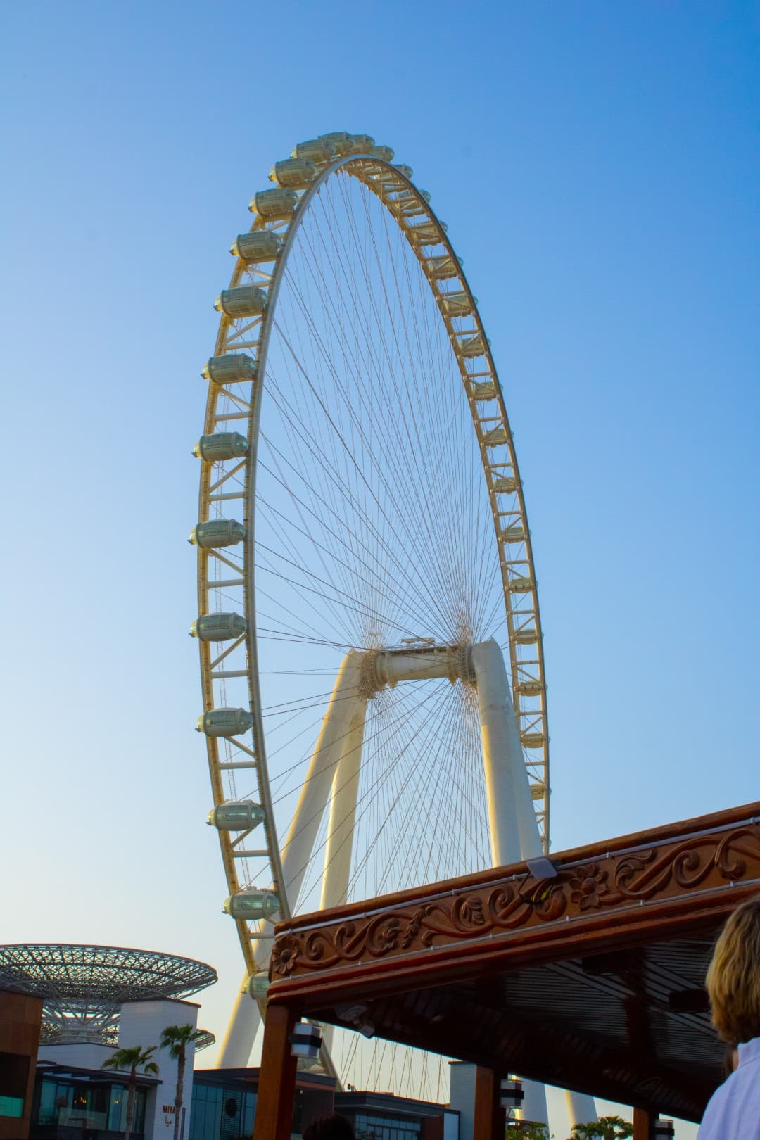 Ain Dubai observation wheel seen from a sunset dhow cruise in Dubai Marina