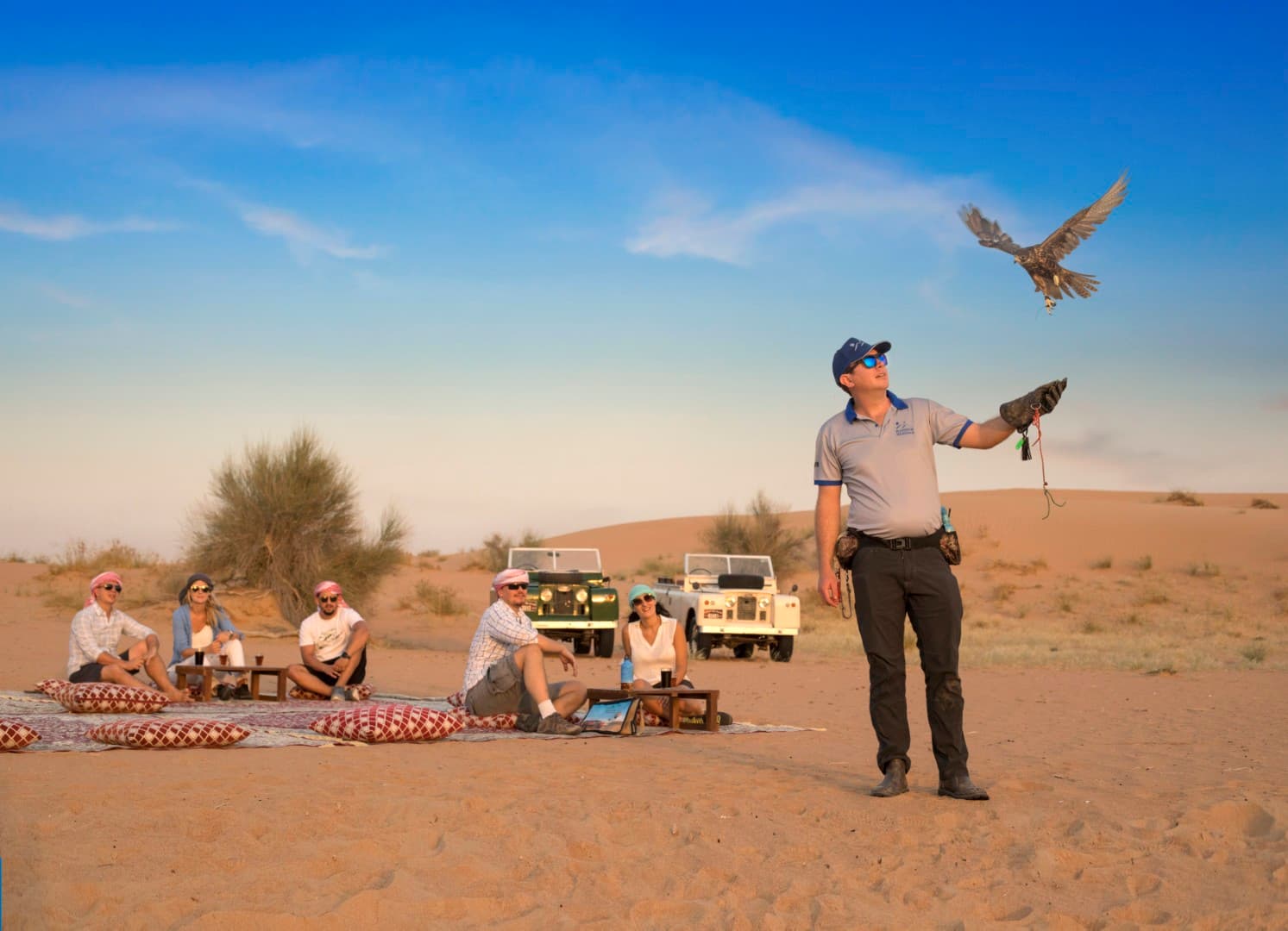 Falconry demonstration showcasing trained falcons at the Heritage Desert Safari Bedouin camp in Dubai.