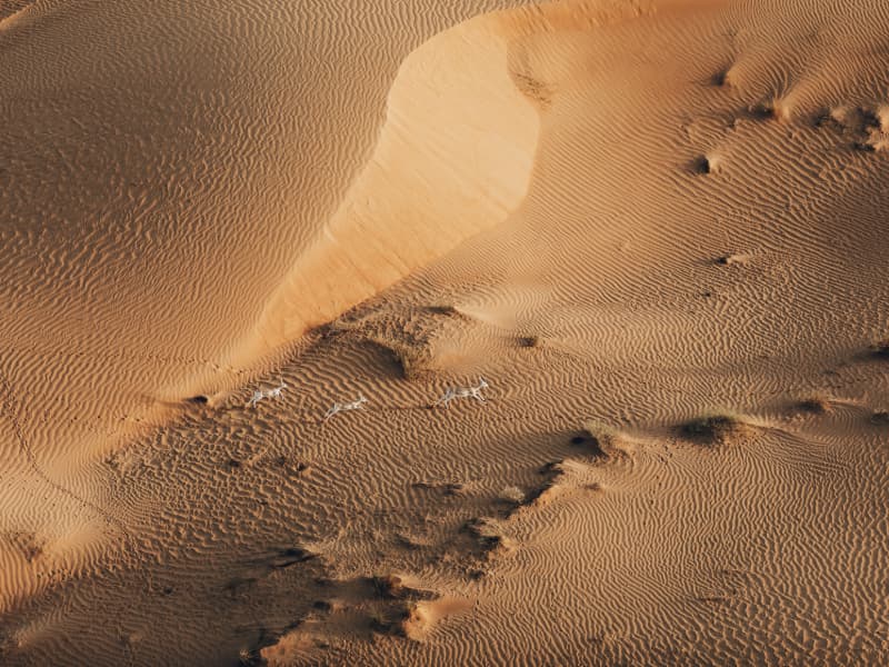 Hot air balloon adventure flying over the Dubai desert during the adventure package experience