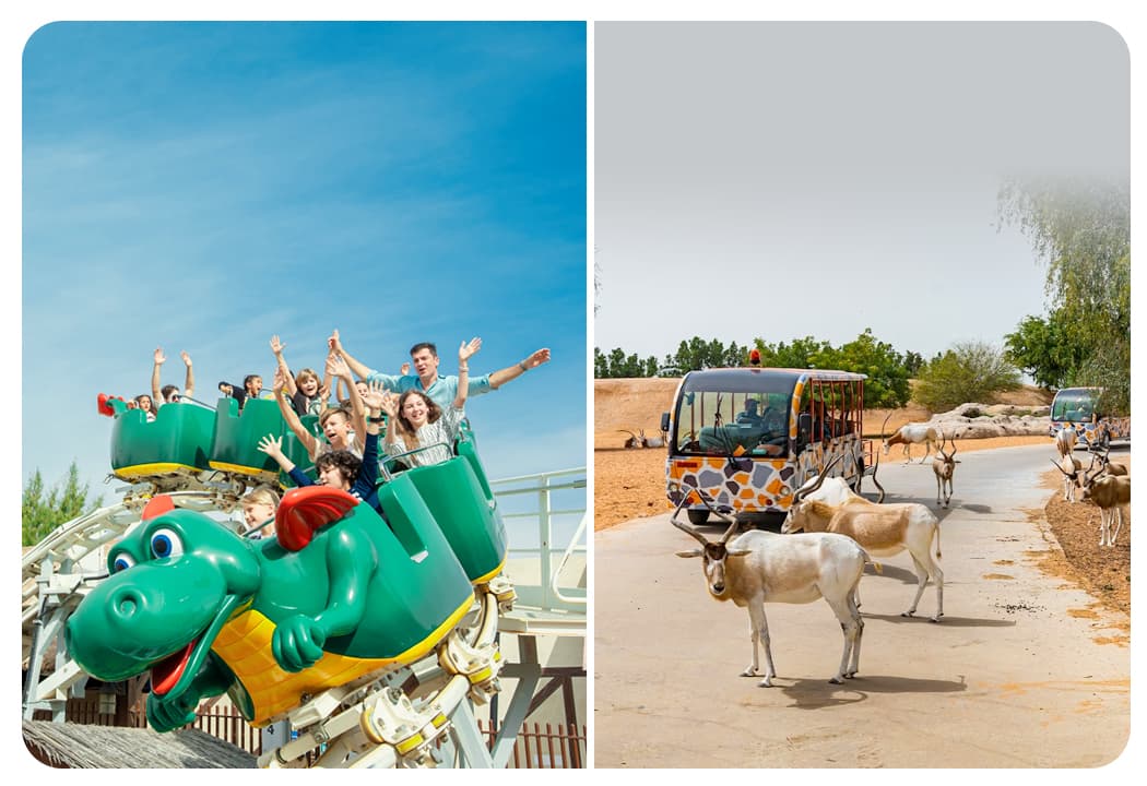 Any 1 Park At Dubai Parks & Resorts With Free Shuttle + Dubai Safari Bundle - clicktoguide