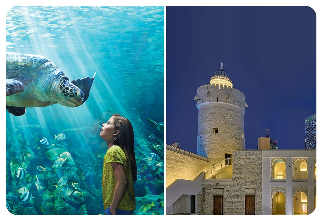 SeaWorld Abu Dhabi + Free Qasr Al Hosan