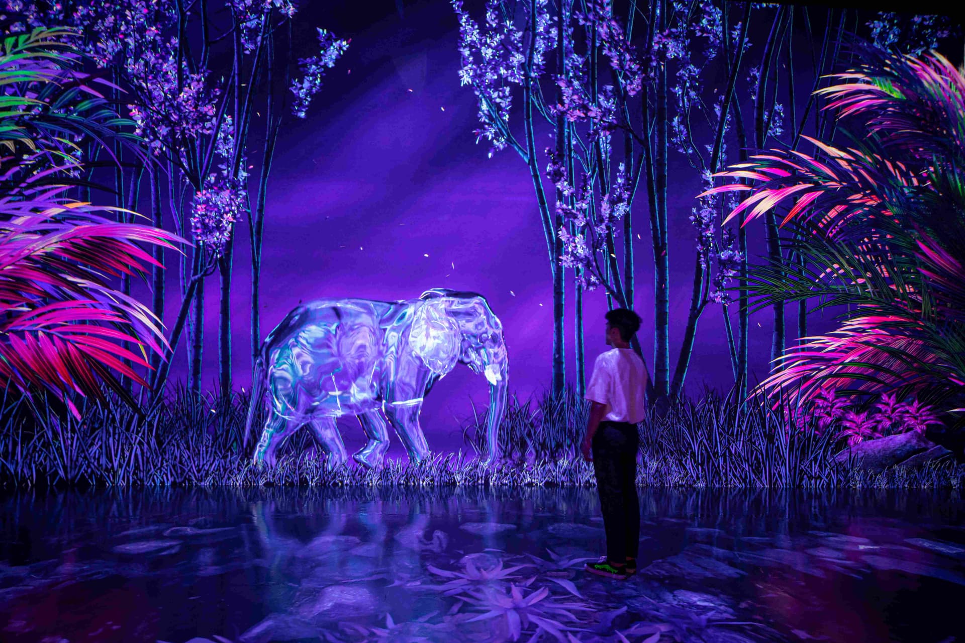 A man stands in front of a large purple elephant at the Arte Museum, showcasing a unique blend of art and nature.