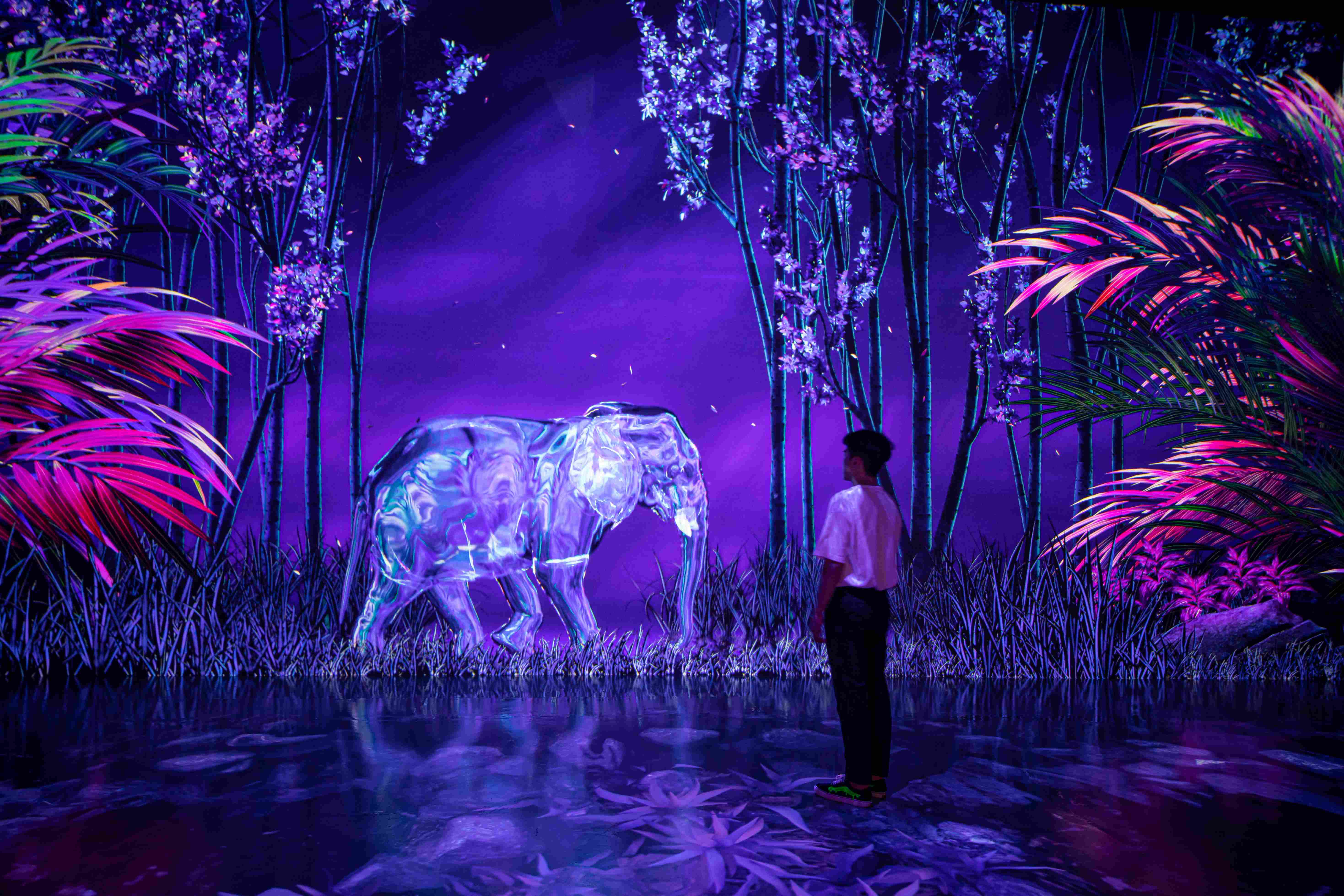 Arte Museum - Nature