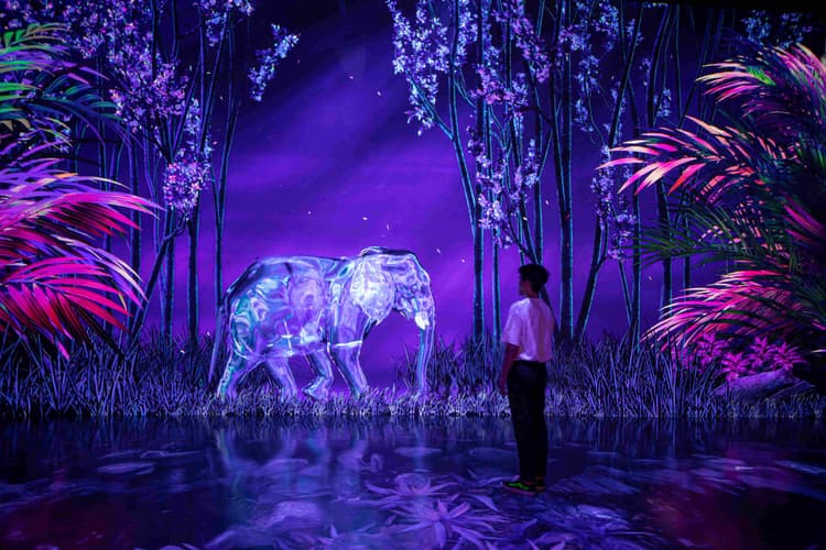 Arte Museum - Nature