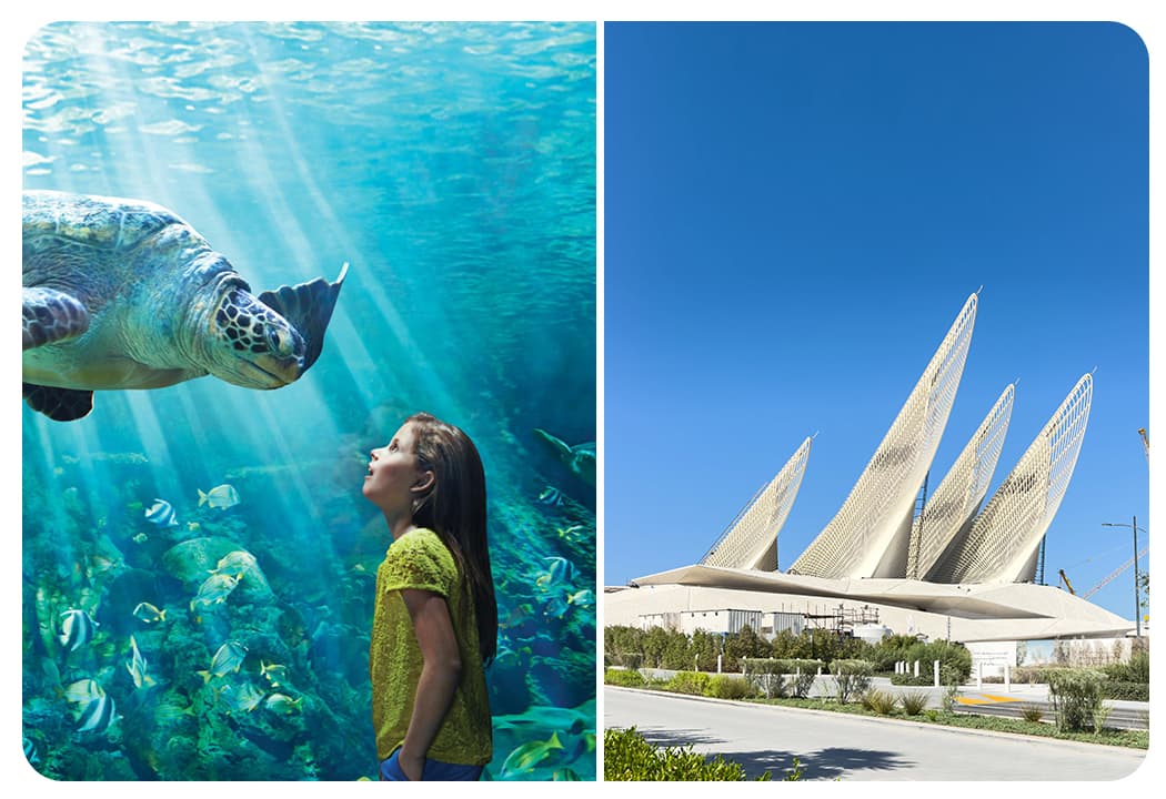 SeaWorld Abu Dhabi + Zayed National Museum Abu Dhabi  - clicktoguide