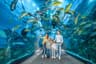Dubai Aquarium Underwater Zoo