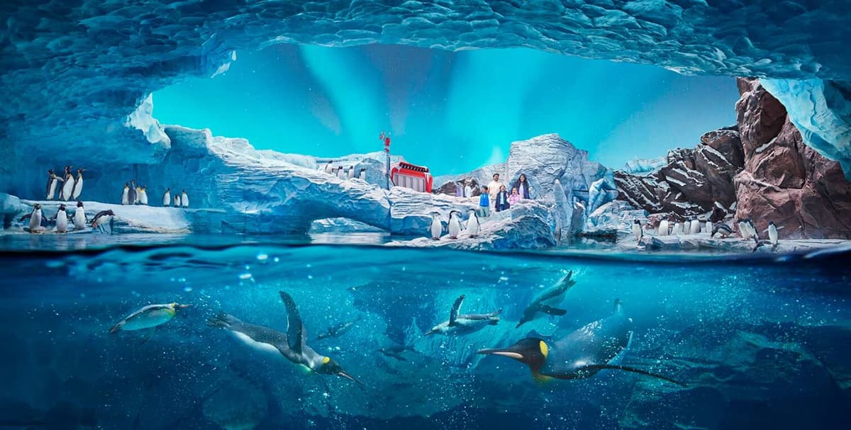 Underwater scene at SeaWorld Abu Dhabi Antarctica, featuring penguins swimming gracefully in the water.