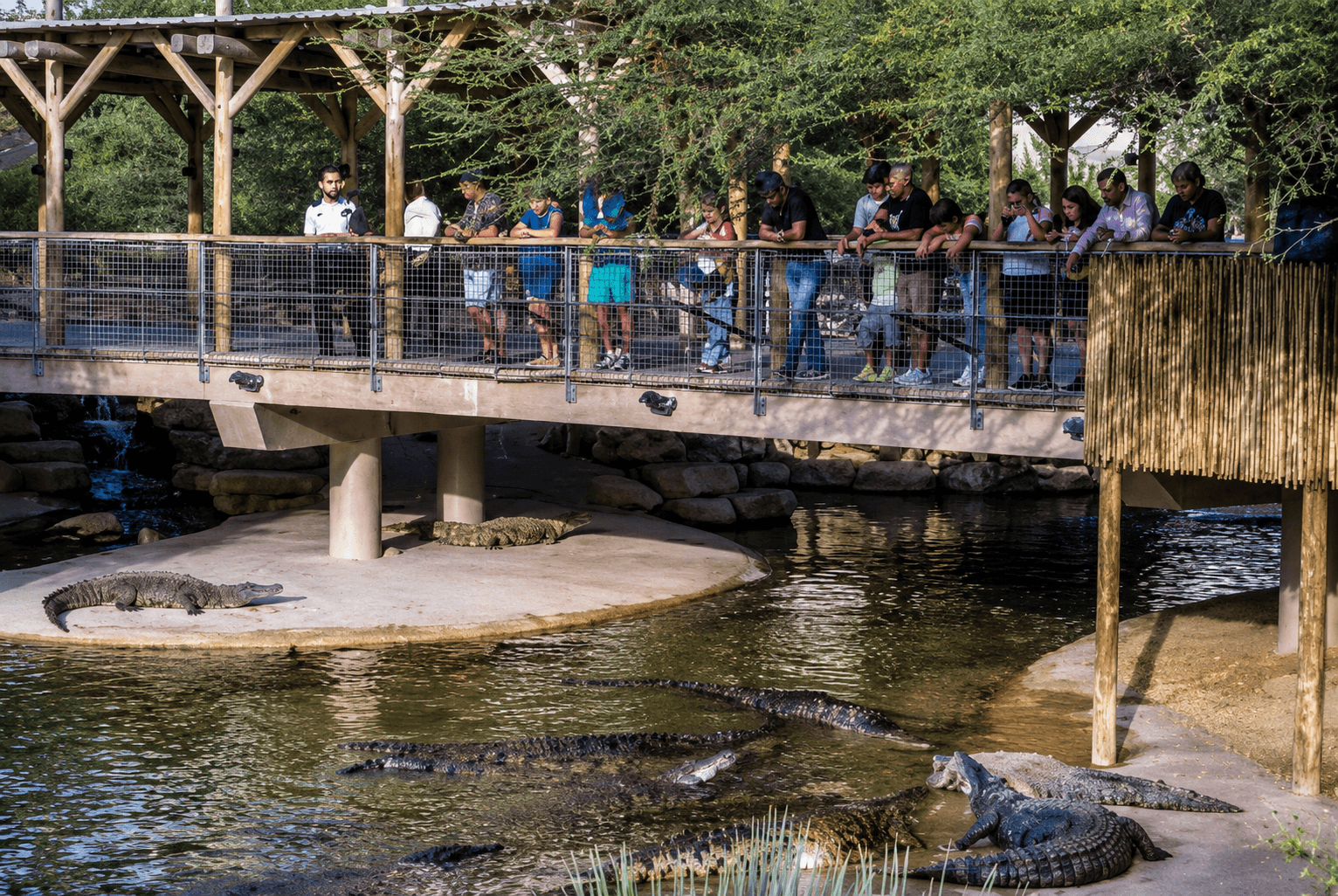 Crocodile Park + Dubai Frame (General Admission) - clicktoguide